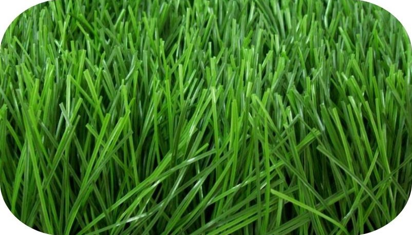 Grama Sintética para Futebol Monofilamento em Rio Grande